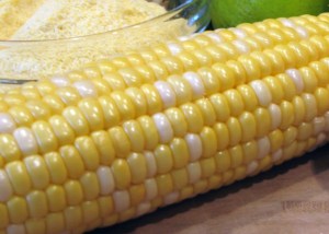 Sweet Corn