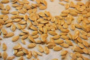 Pumpkin Seeds 5