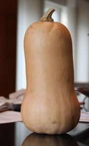 Butternut Squash Soup