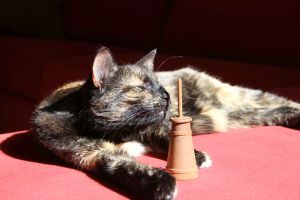 Just Getting Started