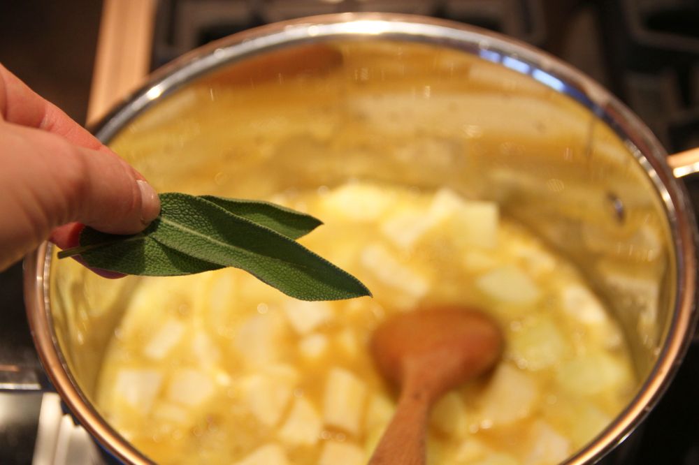 Irish Parsnip and Apple Soup