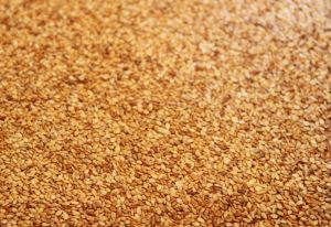 Komatsuna no Goma-Ae 2