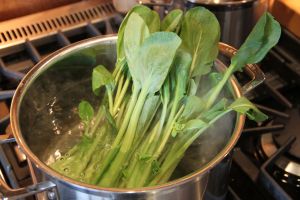 Komatsuna no Goma-Ae 8